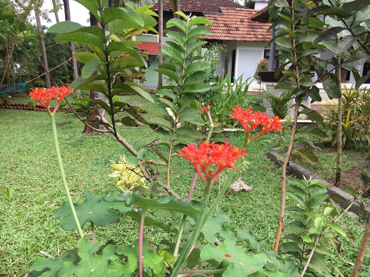Divine Bliss Beach Resort Varkala Exteriör bild