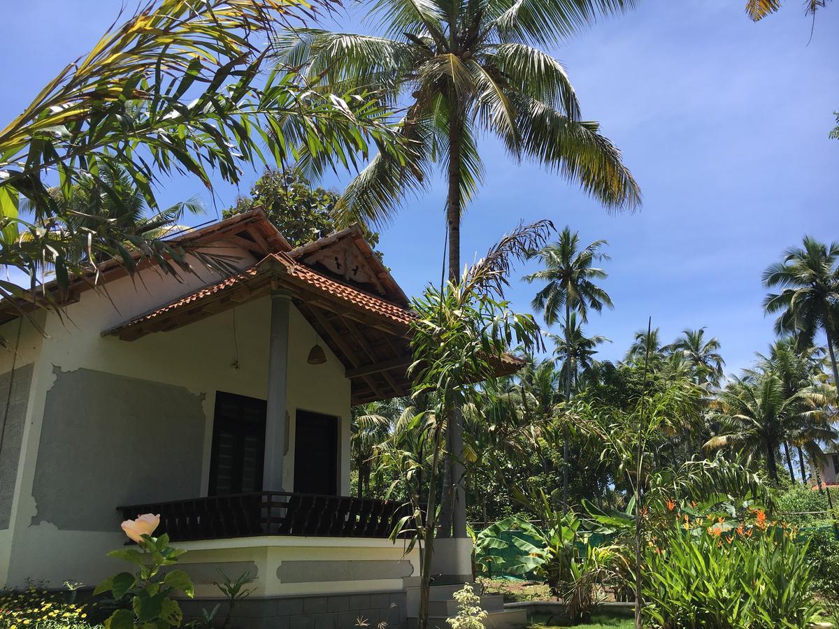 Divine Bliss Beach Resort Varkala Exteriör bild