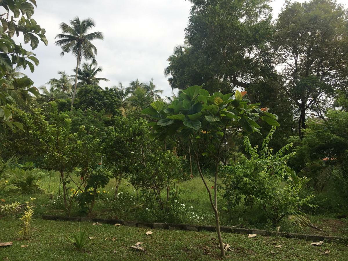 Divine Bliss Beach Resort Varkala Exteriör bild
