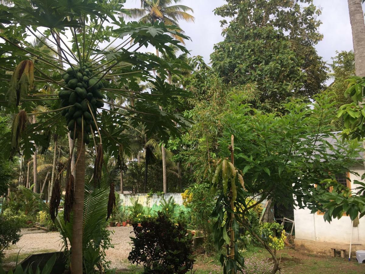 Divine Bliss Beach Resort Varkala Exteriör bild