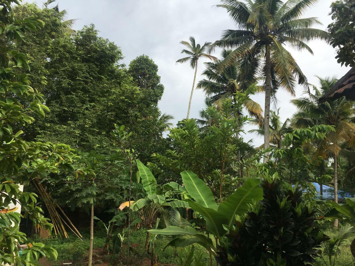 Divine Bliss Beach Resort Varkala Exteriör bild