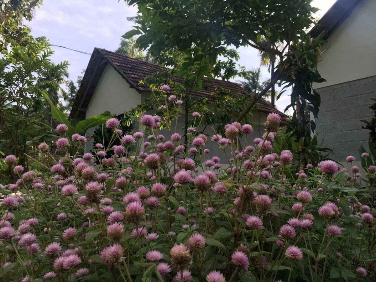 Divine Bliss Beach Resort Varkala Exteriör bild