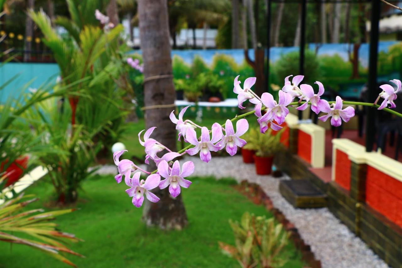 Divine Bliss Beach Resort Varkala Exteriör bild